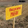 В Луганской области нашли неразминированные территории и мины-ловушки