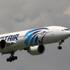 Пропавший самолет EgyptAir: на борту находились граждане 12 стран