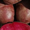 В США биологи вывели "лечебную" фиолетовую картошку