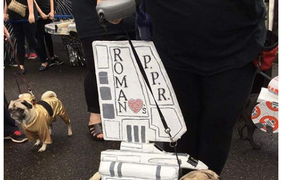 В США провели парад мопсов в честь "Звездных воен"