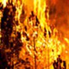 В Канаде лесные пожары добрались до жилых домов