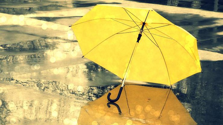 Синоптики рекомендуют брать на прогулку зонты 
