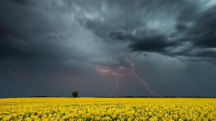 Погода в Украине на 13 и 14 июня