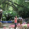 На Філіппінах намагаються врятувати унікальних орлів-мавпоїдів