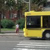 В Киеве на пешеходном переходе автобус сбил женщину (фото)