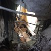 Жуткие кадры: на Донбассе снаряд разбомбил жилой дом (эксклюзив) 