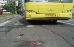 В Киеве на пешеходном переходе автобус сбил женщину