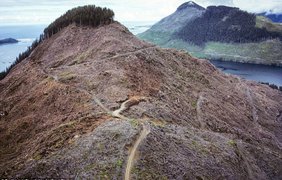Британская Колумбия: местность, опустошенная вследствие вырубки лесов на острове Ванкувер   