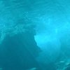 Найдены "адские колокола"  в подводной пещере (фото)