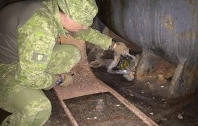 На Донбассе обнаружен тайник с российским оружием