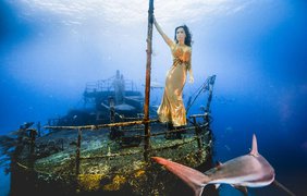 Невероятная фотосессия с акулами 