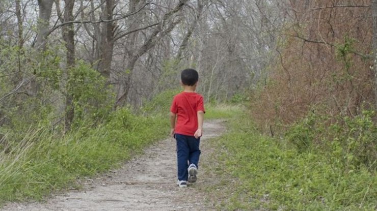 В Японии нашли мальчика, который потерялся в лесу неделю назад 