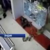 В Индии обезьяна ограбила ювелирный магазин