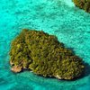 Еще три страны получили безвизовый режим с ЕС