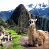 В Перу турист пытался сделать фото и свалился со скалы