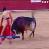 В Іспанії бики убили двох людей