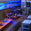 У Кореї дикий кабан перелякав відвідувачів ресторану