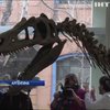 В Аргентині знайшли новий вид динозаврів