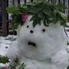 В России в разгар лета дети лепят снеговиков на траве (фото, видео)