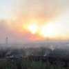 В Луганской области горит лес, уничтожены несколько домов (фото)