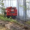 У Чорнобильській зоні рятувальники локалізували пожежу