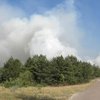 Пожар вокруг ЧАЭС: спасатели задействовали авиацию (фото)
