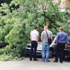 В центре Киева на припаркованные авто упало огромное дерево (фото)