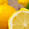 Врачи рассказали о полезных свойствах лимона