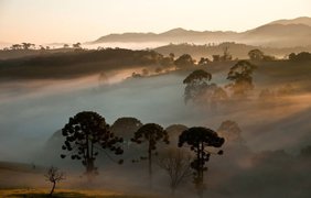 9-е место: Восход солнца в Национальном парке Серра-да-Бодокена в штате Мату-Гросу-Ду-Сул