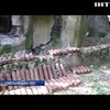 На Хмельниччині виявили артилерійські снаряди часів Другої світової