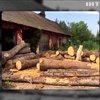 На Львівщині викрили незаконні лісопильні