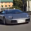 Везущий коз Lamborghini стал хитом сети (видео)