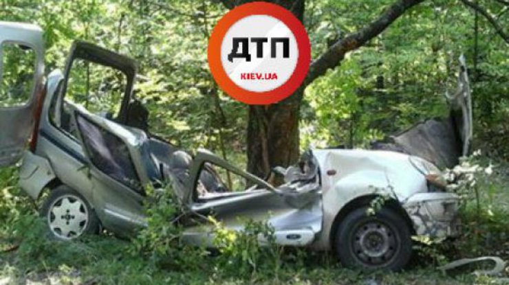 Renault с пассажирами разорвало о дерево