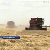 В Украине прямо с полей воруют урожаи