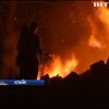 У Франції лісові пожежі знищили десятки будинків