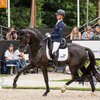 Олимпиада-2016: спортсменка отказалась от соревнований, чтобы спасти свою лошадь