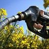 Норвегия полностью отказывается от бензина и переходит на биотопливо