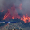 У Каліфорнії пожежа охопила 12 гектарів лісу