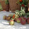 Яблочный спас 2016: традиции и история праздника