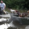 Наводнение в Луизиане: как местные жители справляются со стихией (фото)