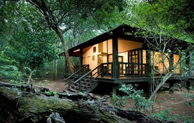Phinda Forest Lodge, ЮАР