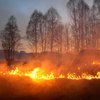 Возле Львова произошел масштабный пожар (фото) 