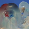 В США создали гибкого робота-осьминога (видео)