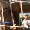 Израиль спас из зоопарка в Секторе Газа умирающих животных
