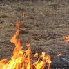 В Житомирской области загорелись торфяники (фото) 