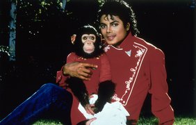 День рождения короля поп-музыки: интересные факты о Майкле Джексоне