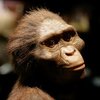 Ученые раскрыли тайну смерти первого предка человека