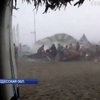 Ветер в Одессе повалил полсотни деревьев