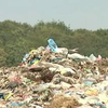 В Черновцах планируют заработать на мусоре из Львова