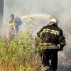 Пожар на Трухановом острове в Киеве ликвидирован